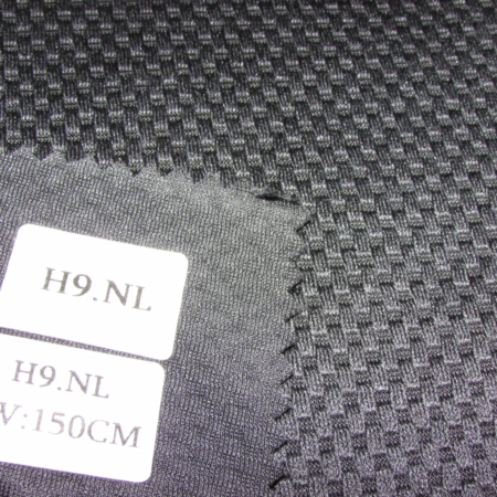 H9.NL